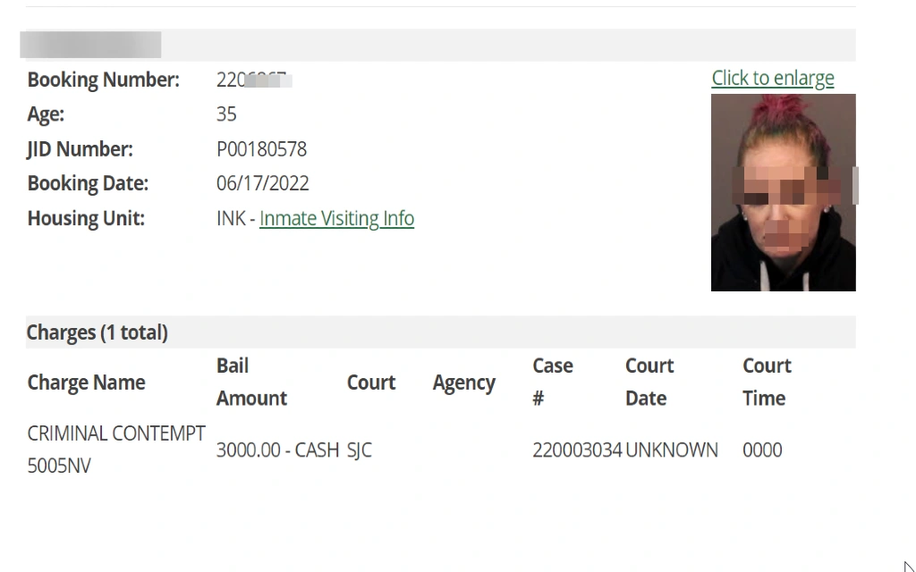 An inmate search sample result provided by the Washoe County Sheriff's Office.