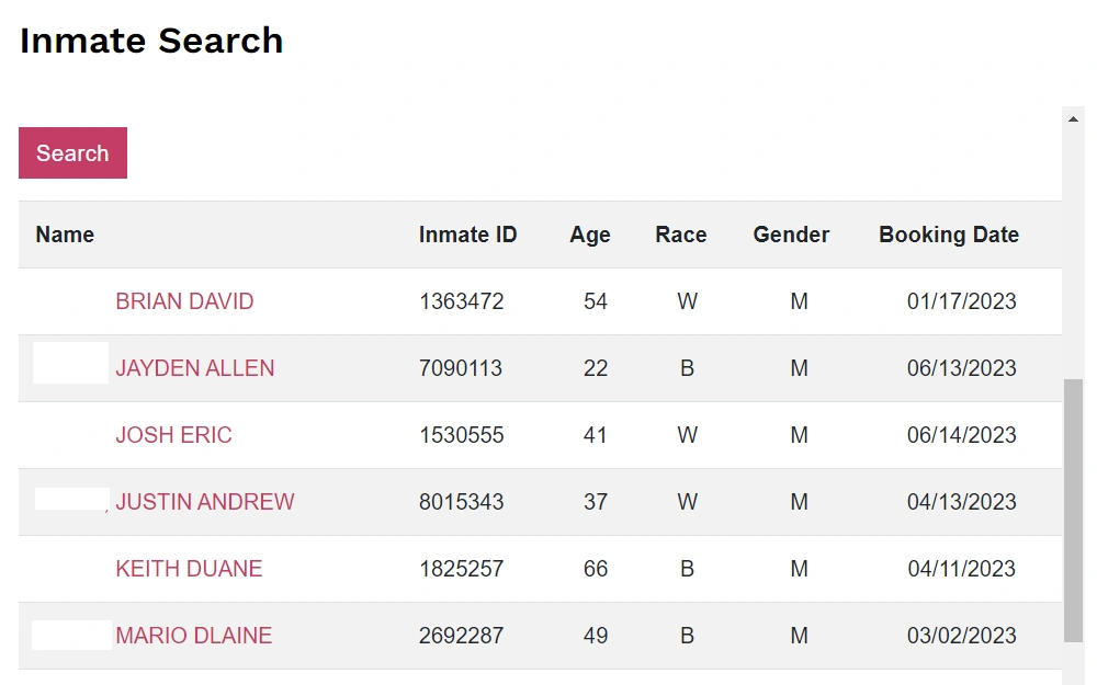 A screenshot of the City of Las Vegas Detention Center inmate search tool that provides information specifically about who’s in jail in the Las Vegas Detention Center on misdemeanor charges.