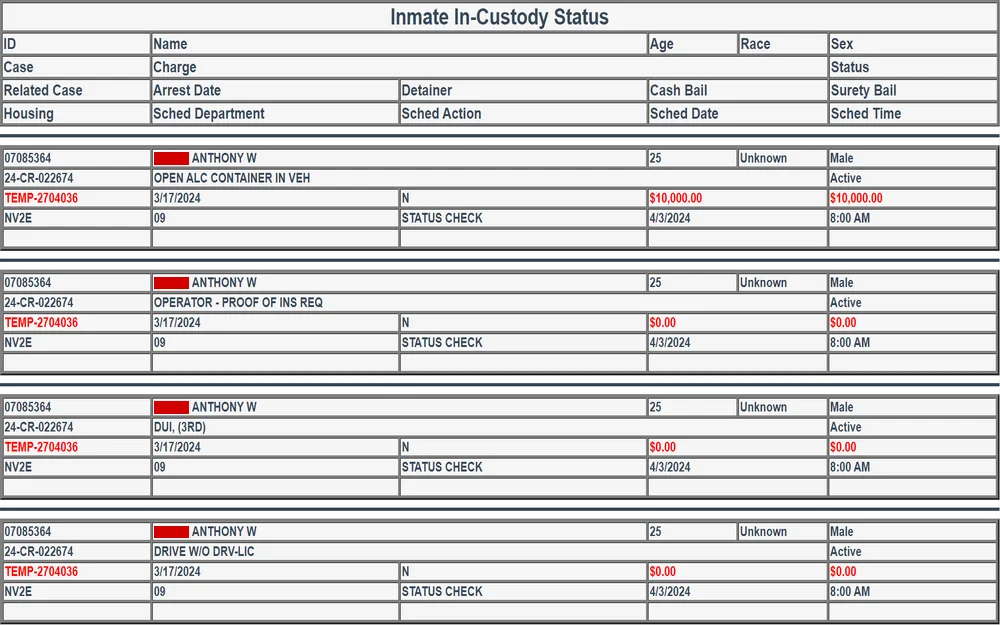 A screenshot from the Clark County Detention Center features a table with columns for the person’s ID, name, case number, charges, date of the scheduled action, age, race, sex, and cash or surety bail amounts.